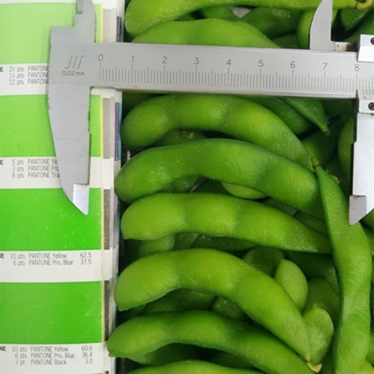 Freeze Edamame