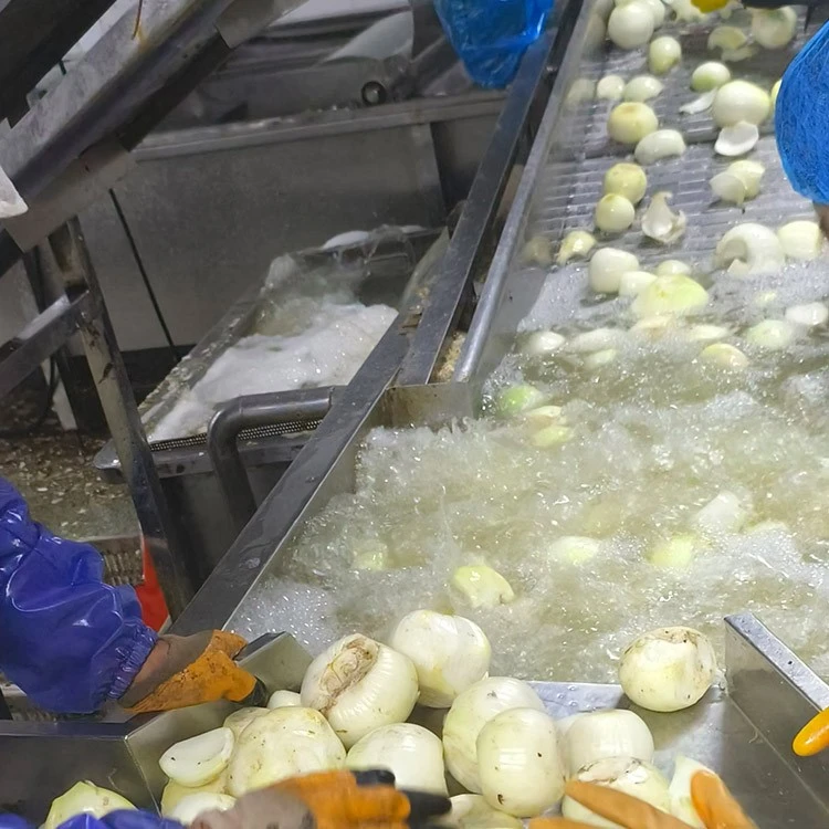 Factory cleaning onions Factory cleaning onions