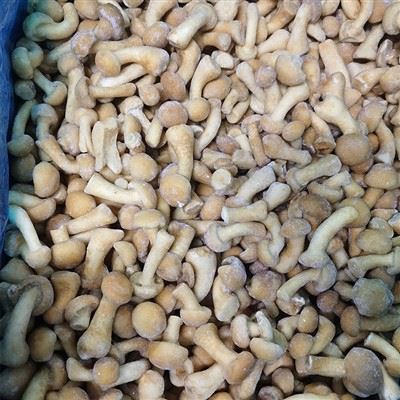 Zamrzavanje Nameko gljive