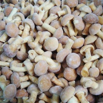 Smrznuta gljiva Nameko
