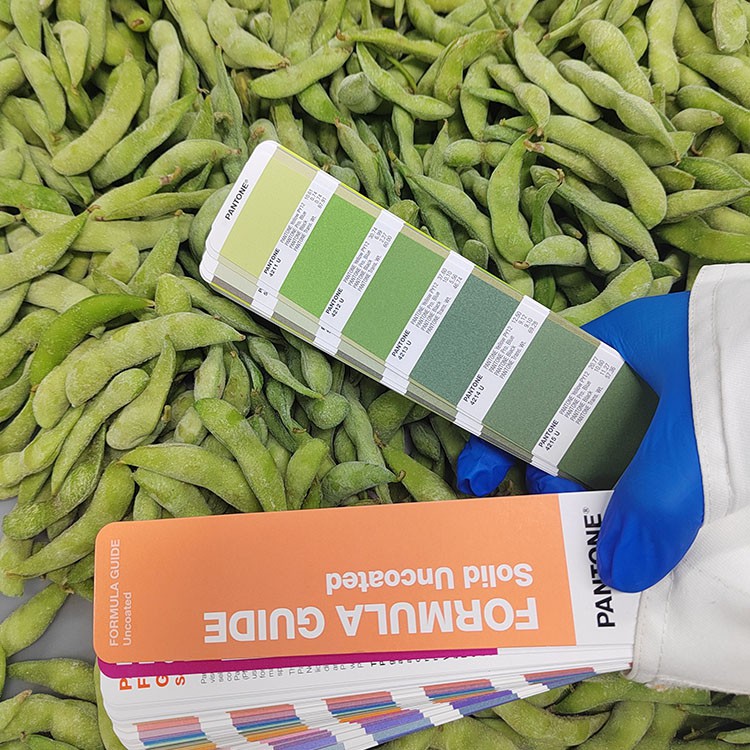 Frozen Edamame Beans Frozen Edamame Beans